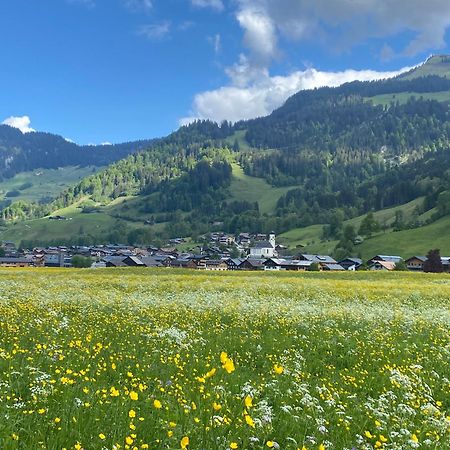 Haus Diedams Schoppernau Exteriér fotografie