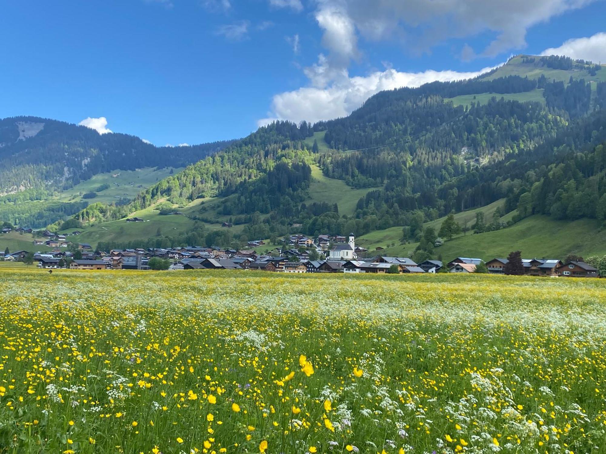 Haus Diedams Schoppernau Exteriér fotografie