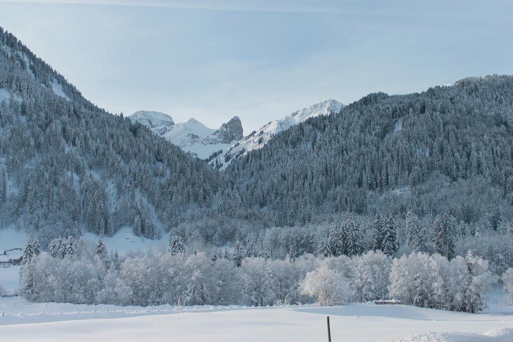 Haus Diedams Schoppernau Exteriér fotografie